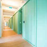 Shortstayflat - Marques Suites